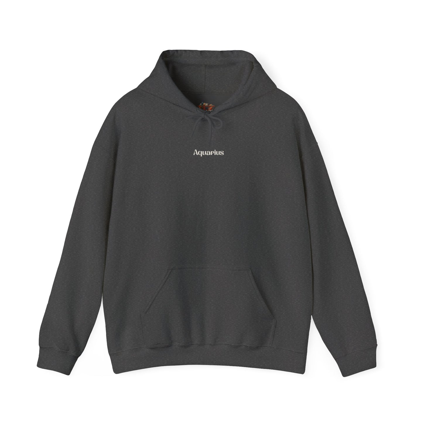 Aquarius Zodiac Hoodie – Cozy Astrology Hoodie for Aquarius Women
