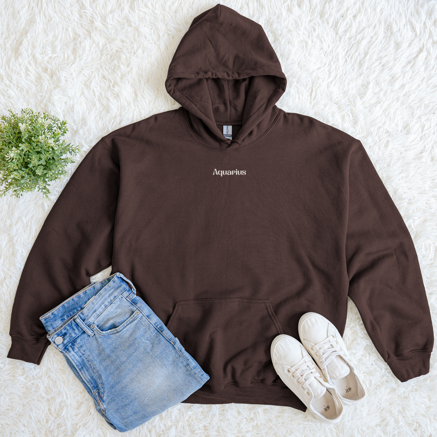 Aquarius Zodiac Hoodie – Cozy Astrology Hoodie for Aquarius Women