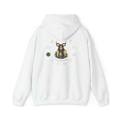 Aries Zodiac Hoodie: Astrology Shirt